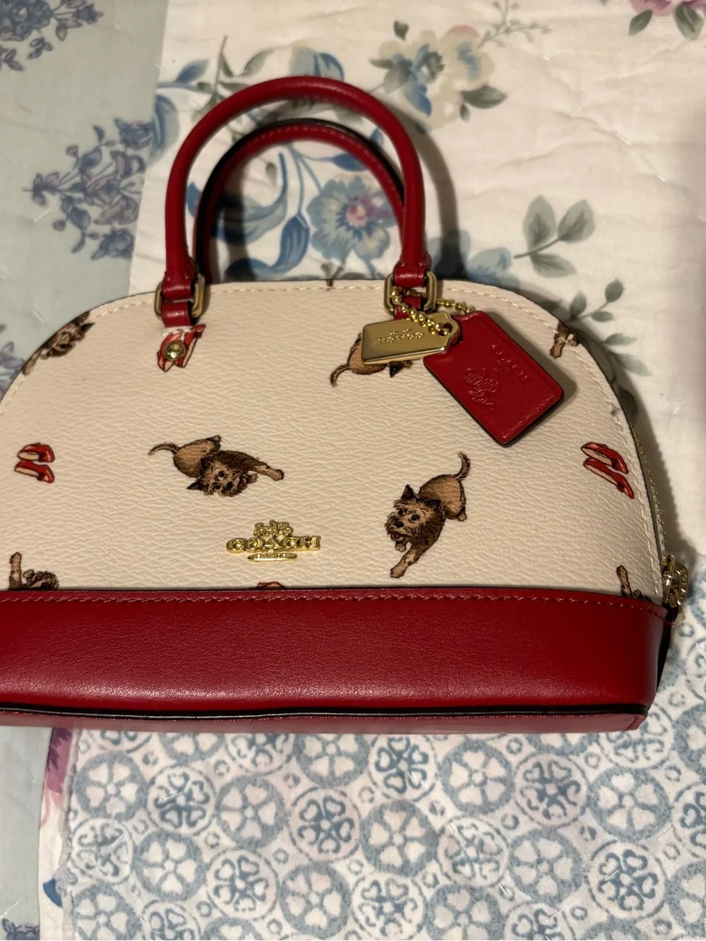 Rare Coach x Wizard of Oz Bag & Wallet Set – Toto & Ruby Slippers